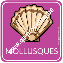 Allergène mollusques